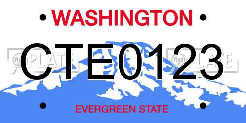 CTE0123 Washington License Plate