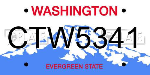 CTW5341 Washington License Plate