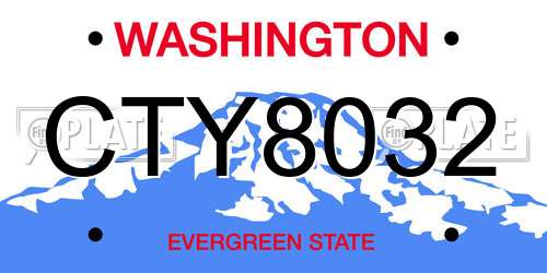 CTY8032 Washington License Plate
