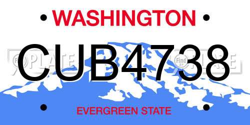 CUB4738 Washington License Plate