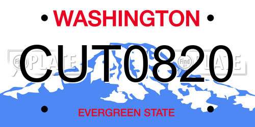 CUT0820 Washington License Plate