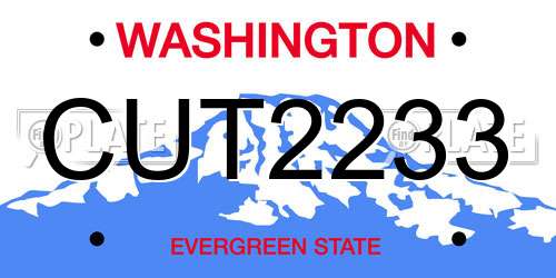 CUT2233 Washington License Plate
