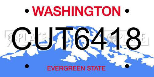 CUT6418 Washington License Plate