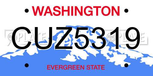 CUZ5319 Washington License Plate