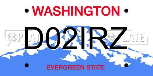 D02IRZ Washington License Plate