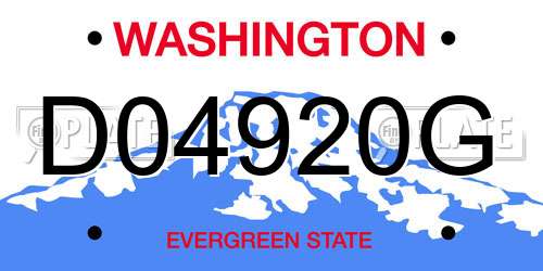 D04920G Washington License Plate
