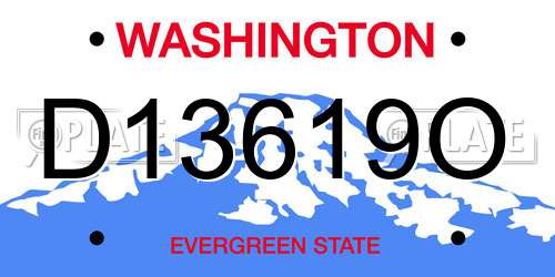 D13619O Washington License Plate