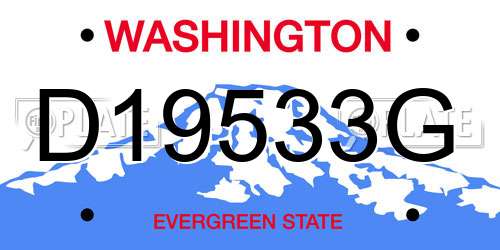 D19533G Washington License Plate