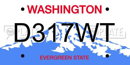 D317WT Washington License Plate
