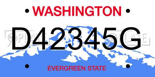 D42345G Washington License Plate