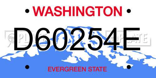 D60254E Washington License Plate
