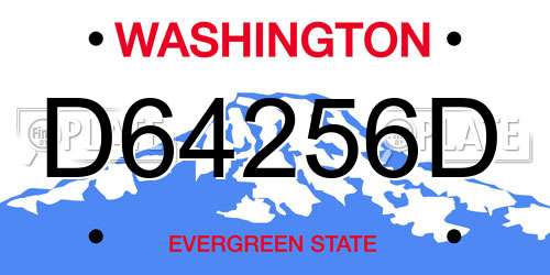 D64256D Washington License Plate