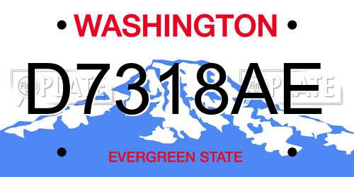 D7318AE Washington License Plate