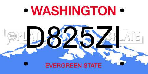 D825ZI Washington License Plate