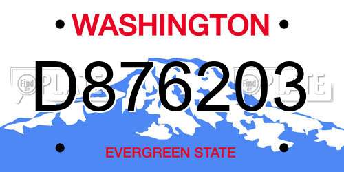 D876203 Washington License Plate
