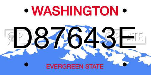 D87643E Washington License Plate