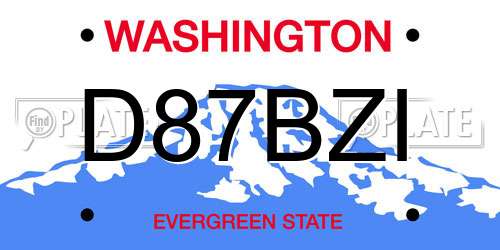 D87BZI Washington License Plate