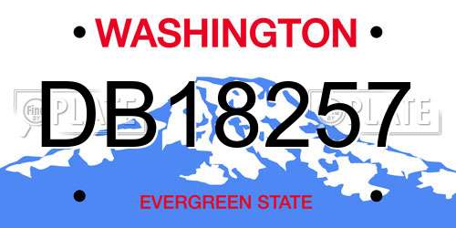 DB18257 Washington License Plate