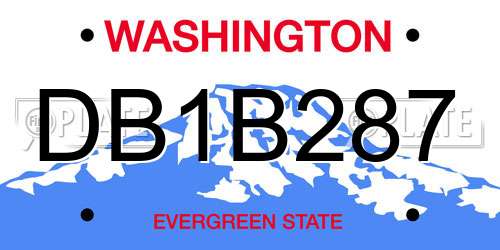 DB1B287 Washington License Plate