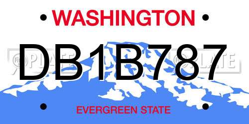 DB1B787 Washington License Plate