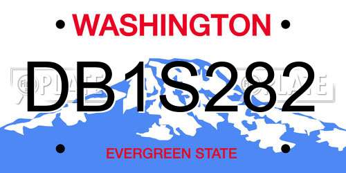 DB1S282 Washington License Plate