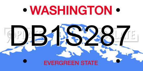 DB1S287 Washington License Plate