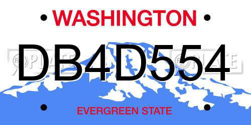 DB4D554 Washington License Plate