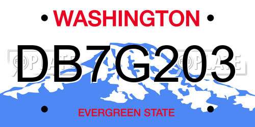 DB7G203 Washington License Plate