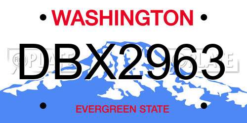 DBX2963 Washington License Plate