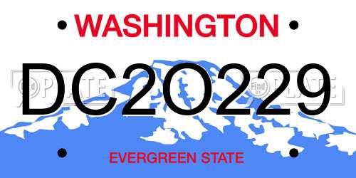 DC2O229 Washington License Plate