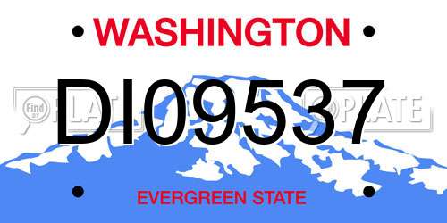 DI09537 Washington License Plate