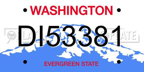 DI53381 Washington License Plate