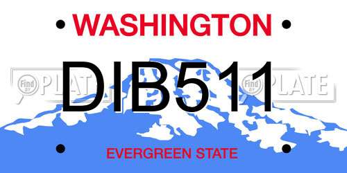 DIB511 Washington License Plate