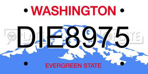 DIE8975 Washington License Plate