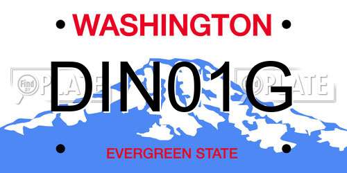 DIN01G Washington License Plate