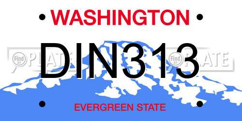 DIN313 Washington License Plate