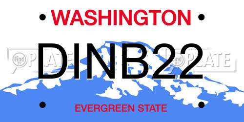 DINB22 Washington License Plate
