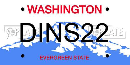 DINS22 Washington License Plate