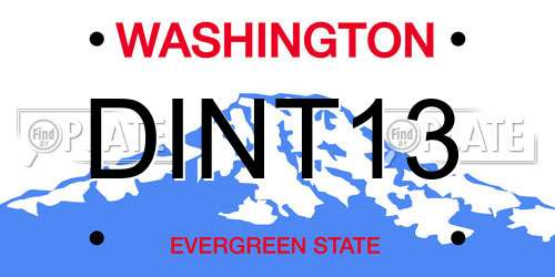 DINT13 Washington License Plate