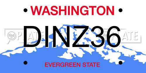 DINZ36 Washington License Plate