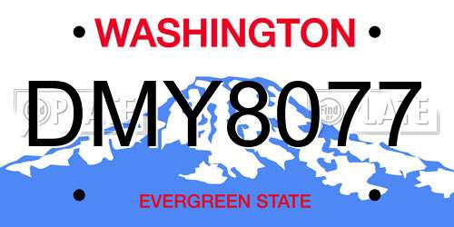 DMY8077 Washington License Plate