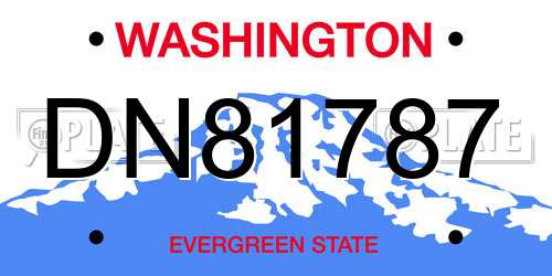 DN81787 Washington License Plate