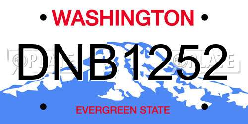 DNB1252 Washington License Plate