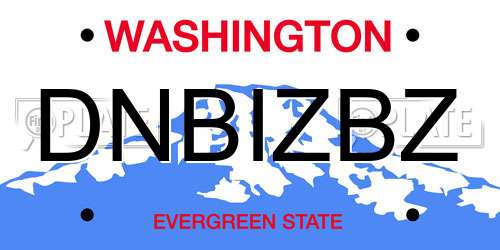DNBIZBZ Washington License Plate