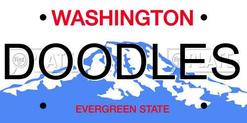 DOODLES Washington License Plate
