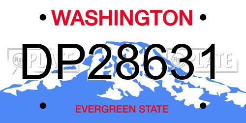 DP28631 Washington License Plate