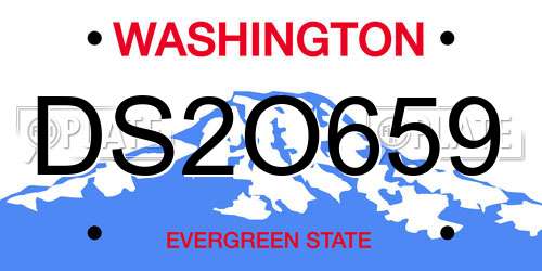 DS2O659 Washington License Plate