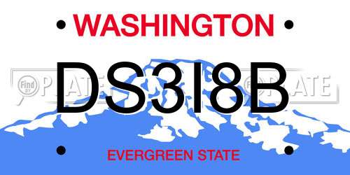 DS3I8B Washington License Plate