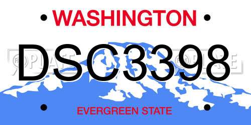 DSC3398 Washington License Plate