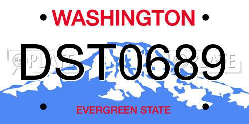 DST0689 Washington License Plate